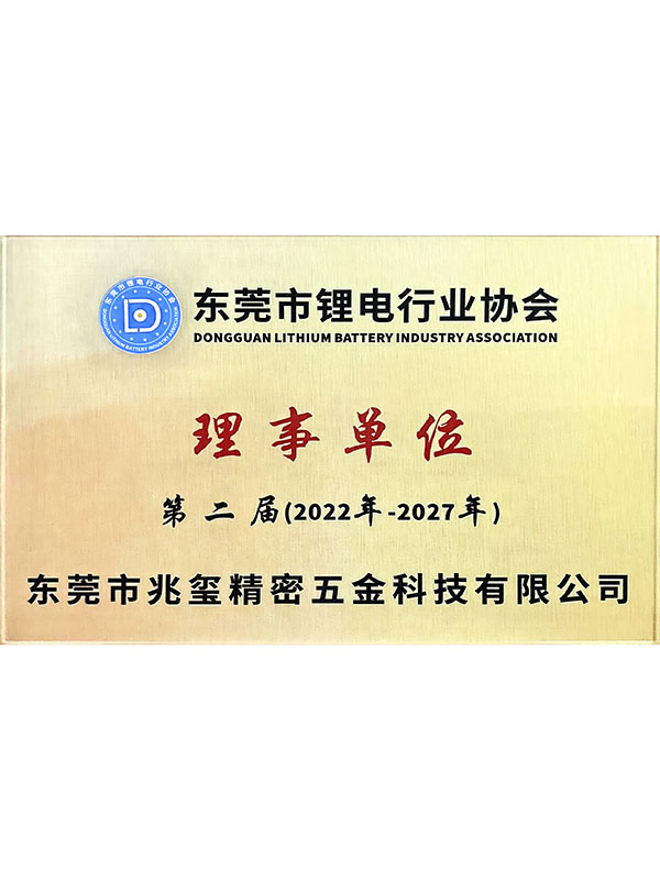 东莞市锂电行业协会理...